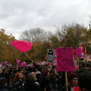 Foto Dal corteo del 25 novembre, voci in diretta 1