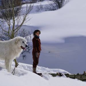 Foto ‘Belle et Sébastien – Amici per sempre’: nelle sale l’ultimo film della fortunata serie francese. 2