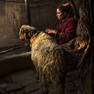 Foto Monika Bulaj in esposizione a Palau con “Broken Songlines” 1