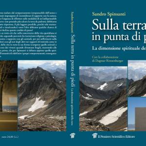 Foto Sulla terra in punta di piedi, il libro di Sandro Spinsanti 1