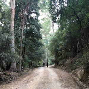 Foto Il Cammino Minerario di Santa Barbara: il fascino di una storia unica e millenaria 9