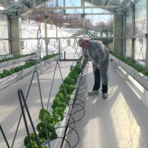 Foto Giorgia Pontetti, l’imprenditrice agricola che voleva fare l’astronauta. E ci è quasi riuscita  9