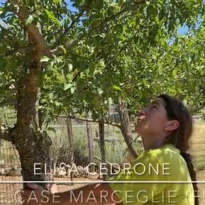 Foto  Elisa Cedrone e Le case Marceglie: il valore sociale della ruralità dell’Appennino 4