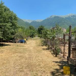 Foto  Elisa Cedrone e Le case Marceglie: il valore sociale della ruralità dell’Appennino 10