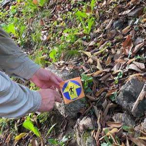 Foto PAROLE DI BELLEZZA. La via Francigena Renana e la Via Regina: Dascio... Sorico... Gera Lario / 1 2