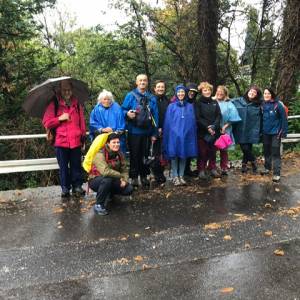 Foto PAROLE DI BELLEZZA. La Via Francigena Renana e la Via Regina: Dongo... Rezzonico... Menaggio / 3 12