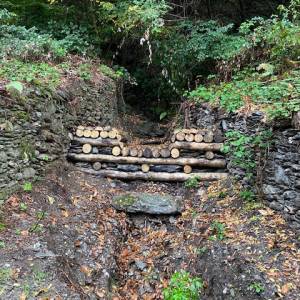 Foto PAROLE DI BELLEZZA. La Via Francigena Renana e la Via Regina: Dongo... Rezzonico... Menaggio / 3 22