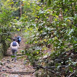 Foto PAROLE DI BELLEZZA. La Via Francigena Renana e la Via Regina: da Menaggio a Lenno / 4 3