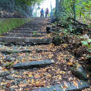 Foto PAROLE DI BELLEZZA. La Via Francigena Renana e la Via Regina: da Menaggio a Lenno / 4 4