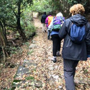 Foto PAROLE DI BELLEZZA. La Via Francigena Renana e la Via Regina. Da Carate a Como / 5 2