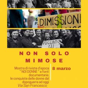 Foto Castellaneta (Ta): le copertine di NOIDONNE in mostra come 'panni al vento' - di Anna Ruggi 4