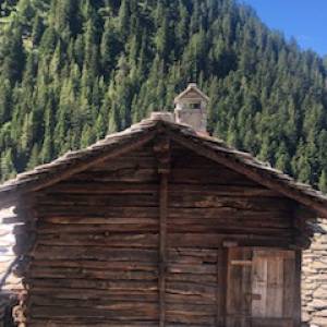 Foto Il Grande Sentiero Walser e il cammino della Valle d’Aosta: la valle di Gressoney 2