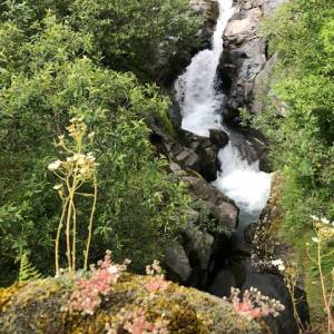 Foto Il Grande Sentiero Walser e il cammino della Valle d’Aosta: la valle di Gressoney 17