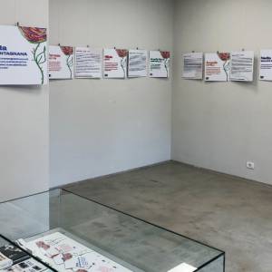 Foto Roma / Alla Casa della Memoria per incontrare le 21 Madri costituenti 7