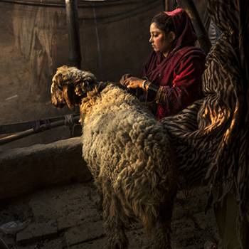 Foto: Monika Bulaj in esposizione a Palau con “Broken Songlines”