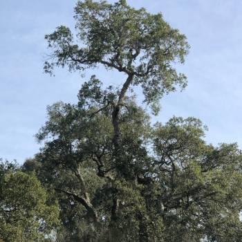 Foto: Parchi Naturali: equilibrio di genere negli organi di gestione e direzione