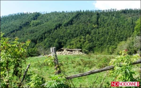 Foto: Amatrice. La terra trema