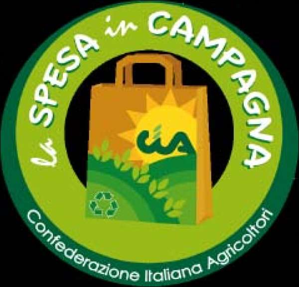 Foto: Dalla campagna al web