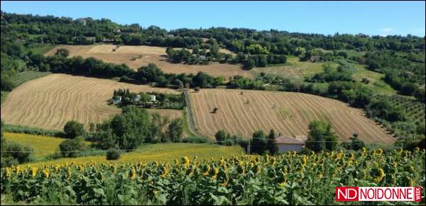 Foto: I valori della terra. La parola a Claudia Sorlini