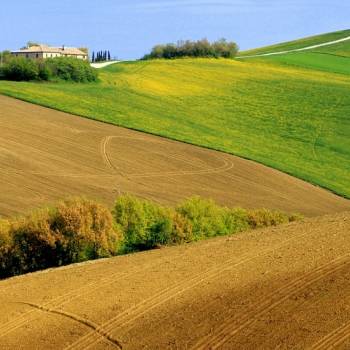 Foto: A come Agricoltura. D come Donne