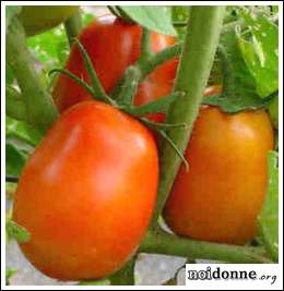 Foto: Passata di pomodoro più sicura