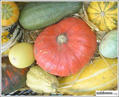 Foto: Porro e zucca, delizie d’autunno