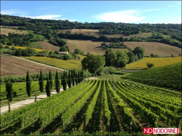 Foto: Sovranità alimentare e difesa del territorio