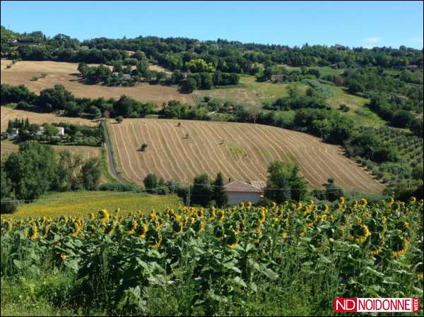 Foto: Un passo avanti per la tutela della biodiversità: la legge Cenni