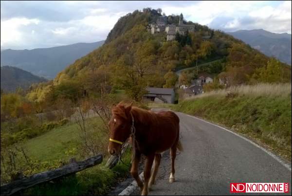 Foto: Zaino in spalla e due cavalle per amiche